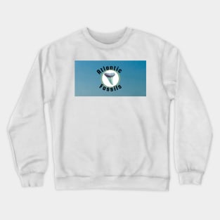 Sky Blue Atlantic Fossils Shark Tooth White Circle Print Crewneck Sweatshirt